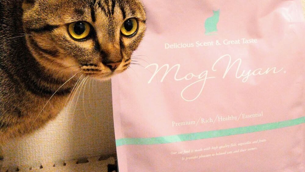 最安値とモグニャンのパッケージ猫の画像