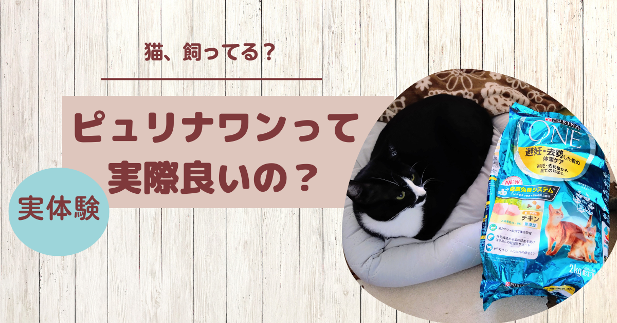 半額】 〔まとめ〕 PURINA ONE ピュリナワン キャット 避妊 去勢した猫