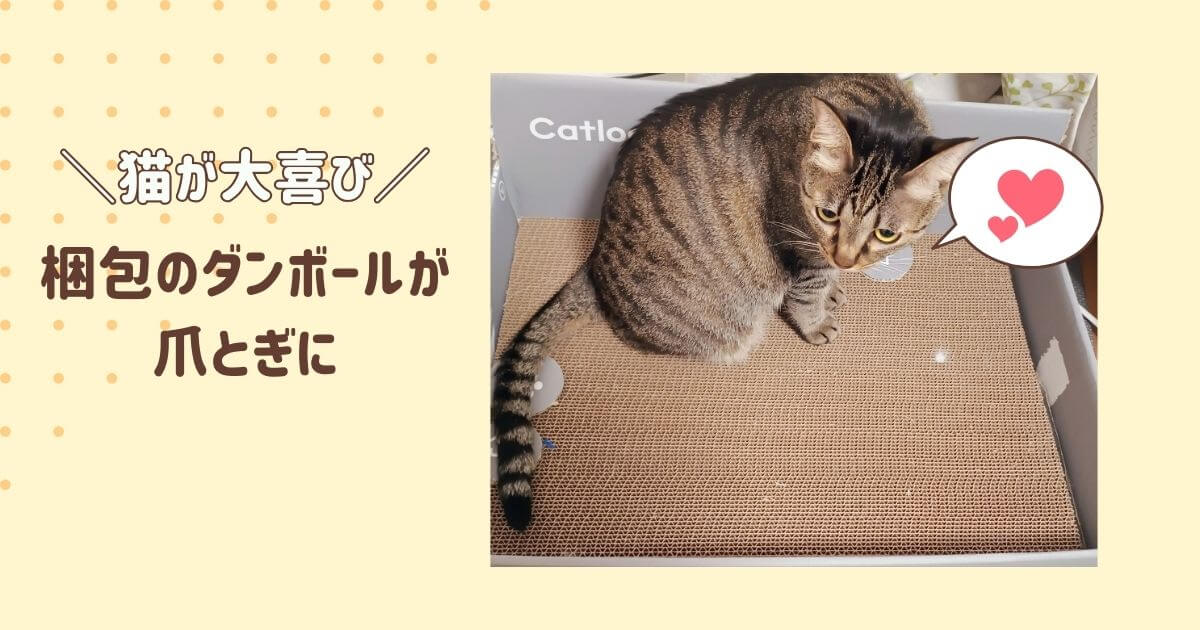 Catlog　Board2のダンボールの爪とぎに猫が入ってる画像