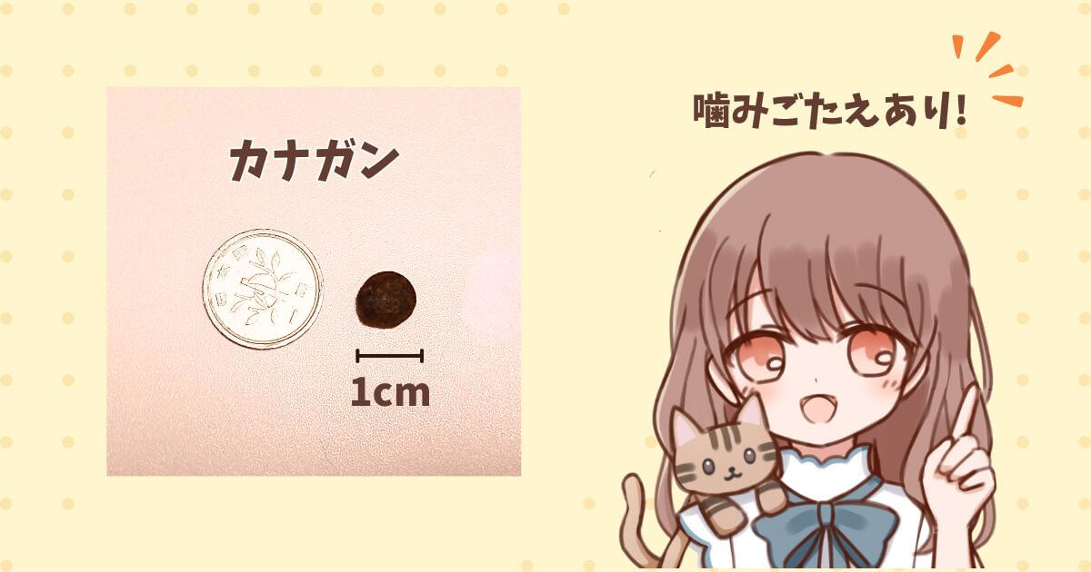 カナガンキャットフード お試し