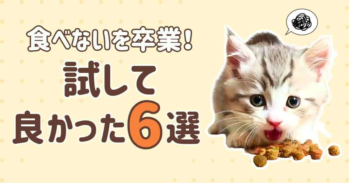 猫 クンクンするけど食べない