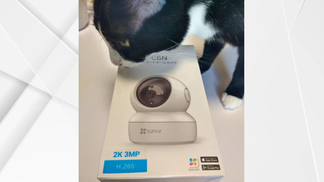 猫とEZVIZC6N防犯カメラの画像