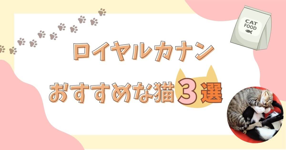 ピュリナワン　ロイヤルカナン　比較