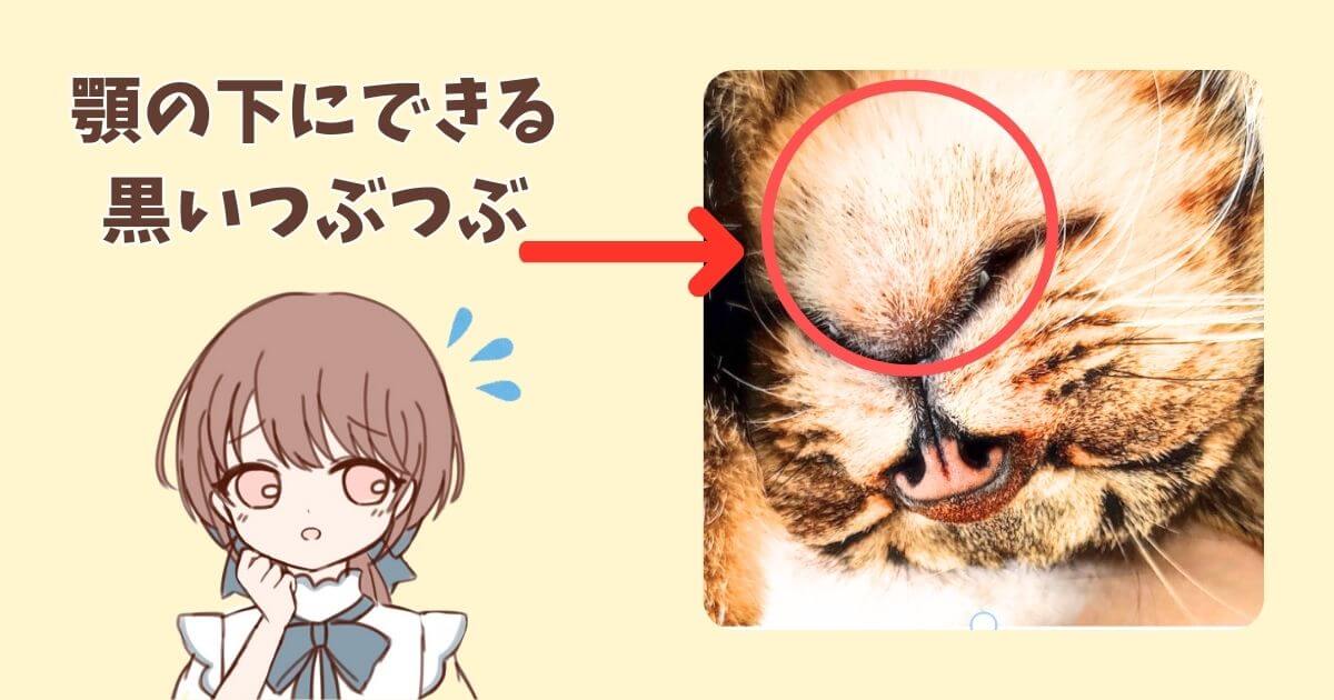 猫　顎の下　はげ