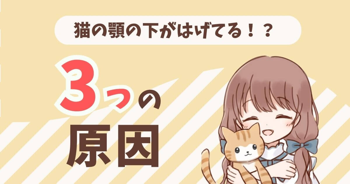 猫　顎の下　はげ