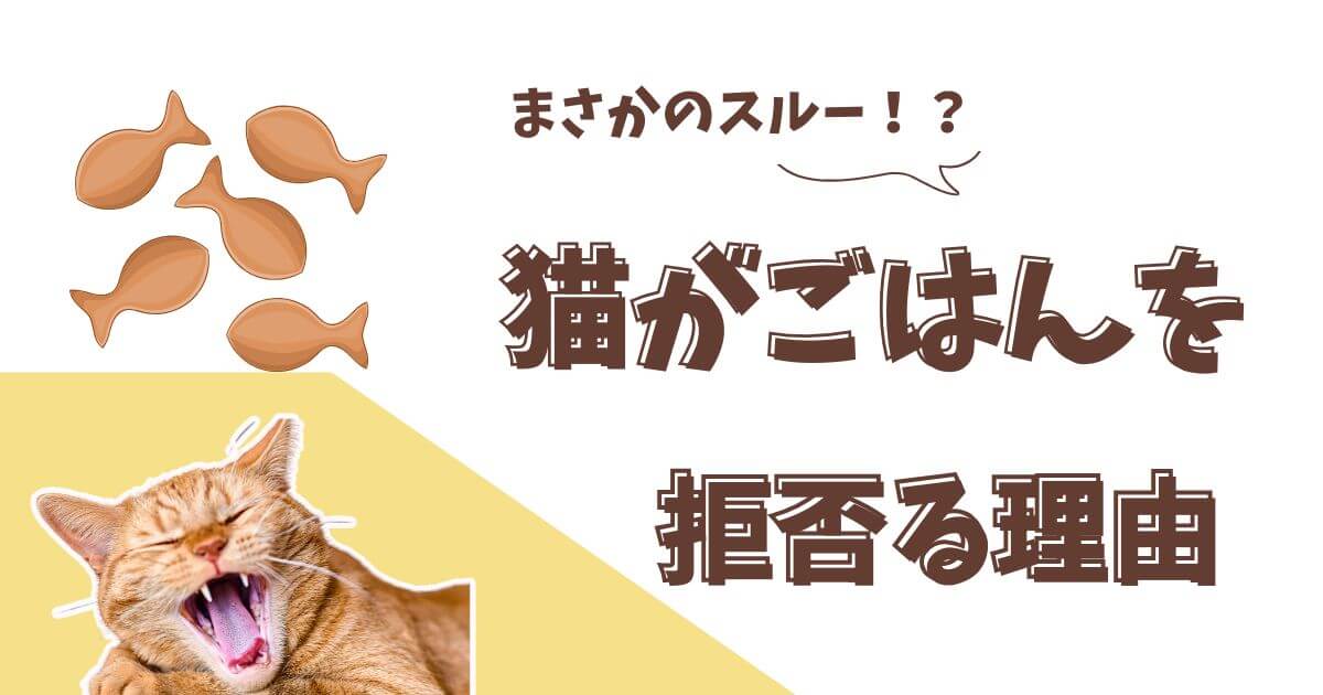 猫 クンクンするけど食べない